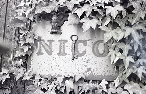  contax Aira img137
