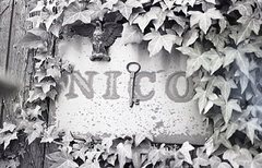  contax Aira img137