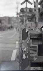  contax Aira img135