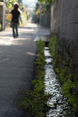 島原湧水群