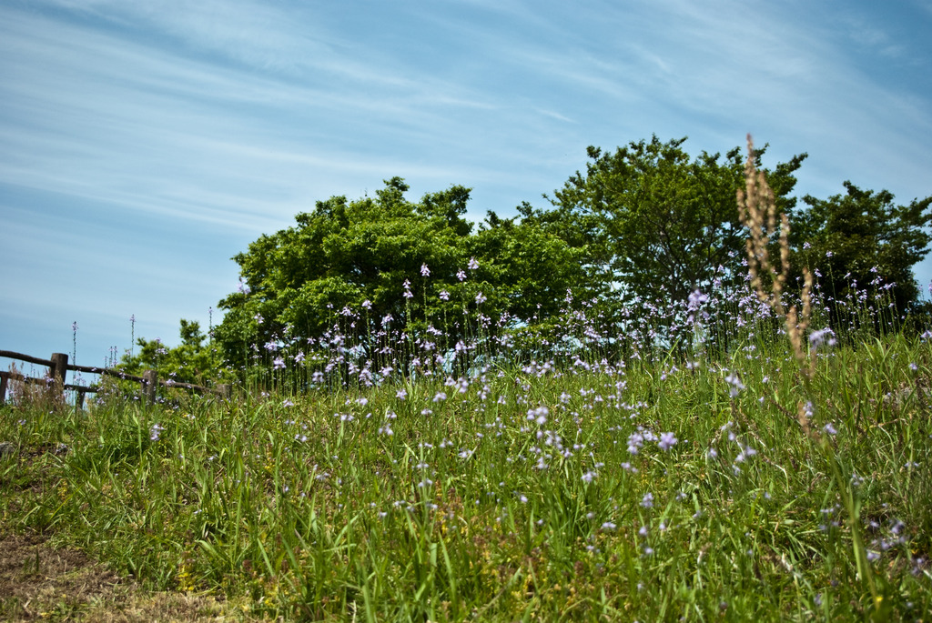 風頭公園