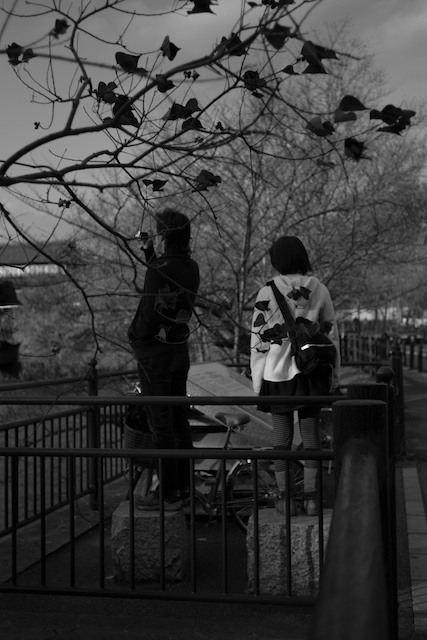 Autumn Couple in Nara