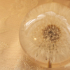 The Dandelion Clock