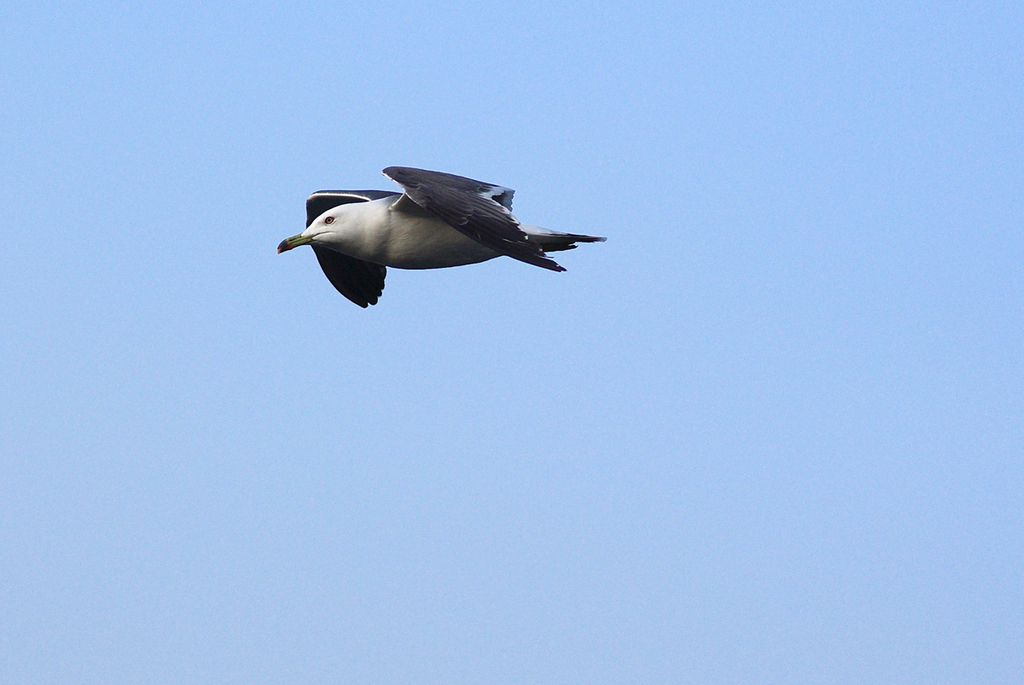 IMGP9783ppp3