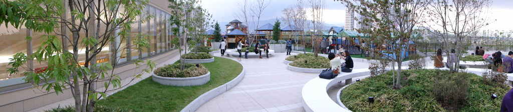 DSC02952