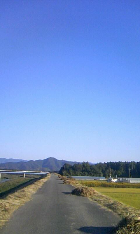 波介川堤防①