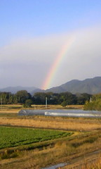 仁淀川堤防虹①