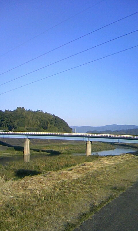 波介川堤防③