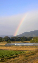 仁淀川堤防虹②