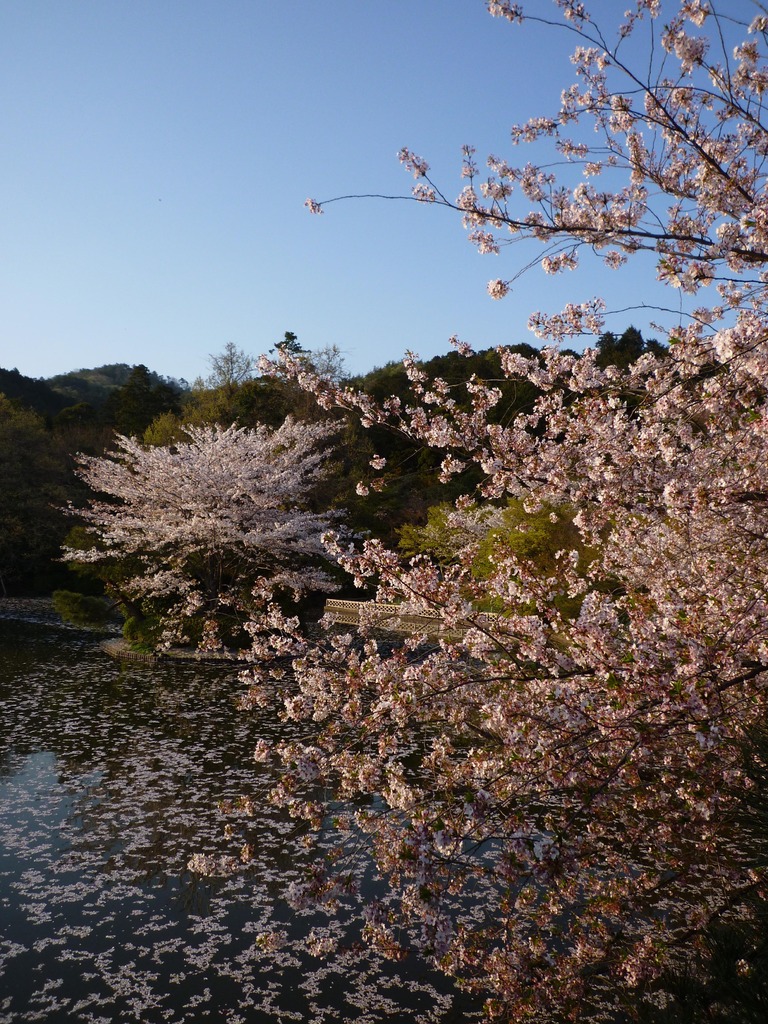 花鳥風月