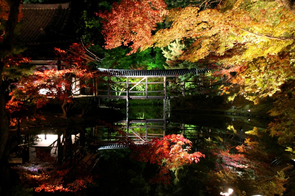 Another World