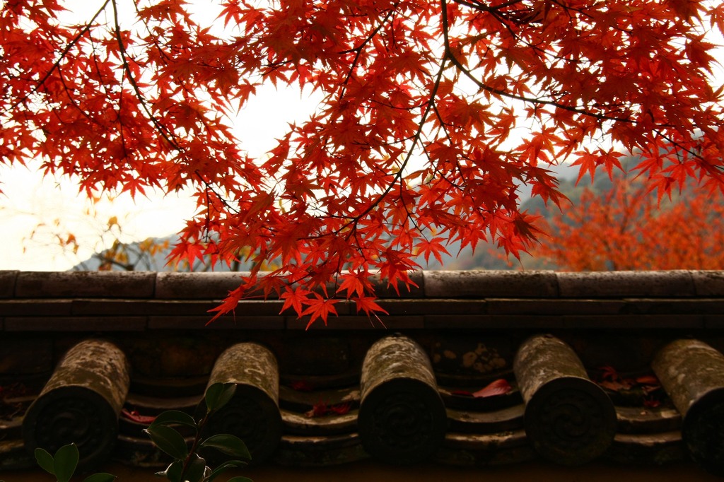 天龍寺