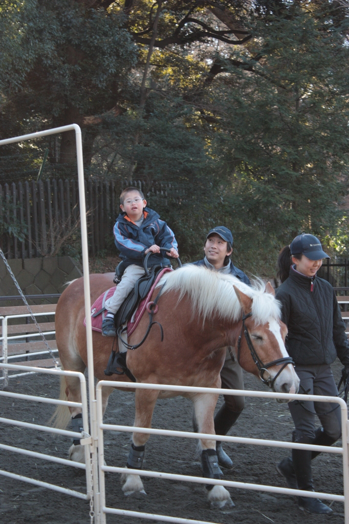 初お馬さん