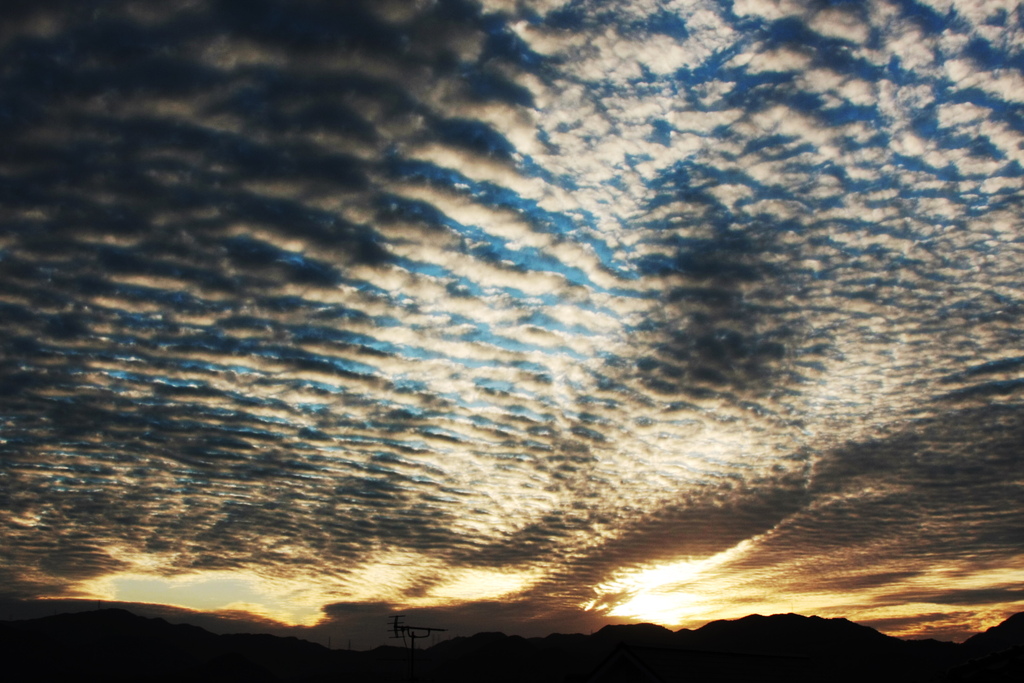 秋空