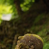 羅漢さん