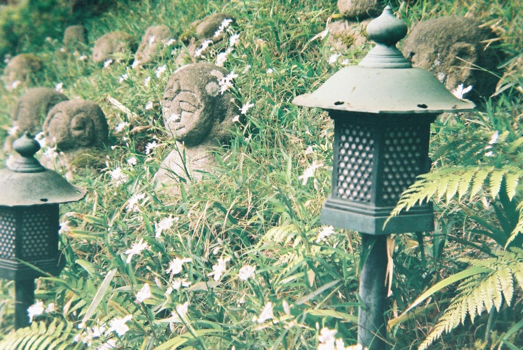 愛宕念仏寺～トイカメラ～