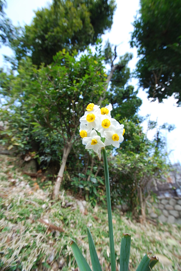 広角で撮ってみました！！