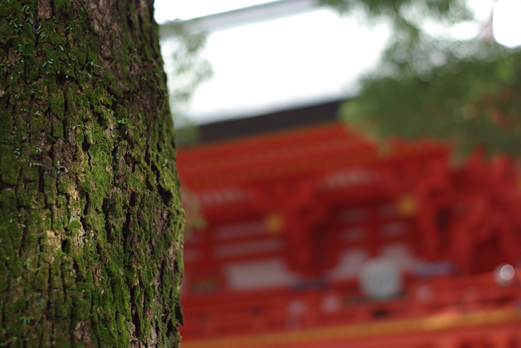 氷川神社②