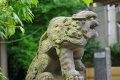 湯島天神の狛犬