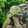 湯島天神の狛犬