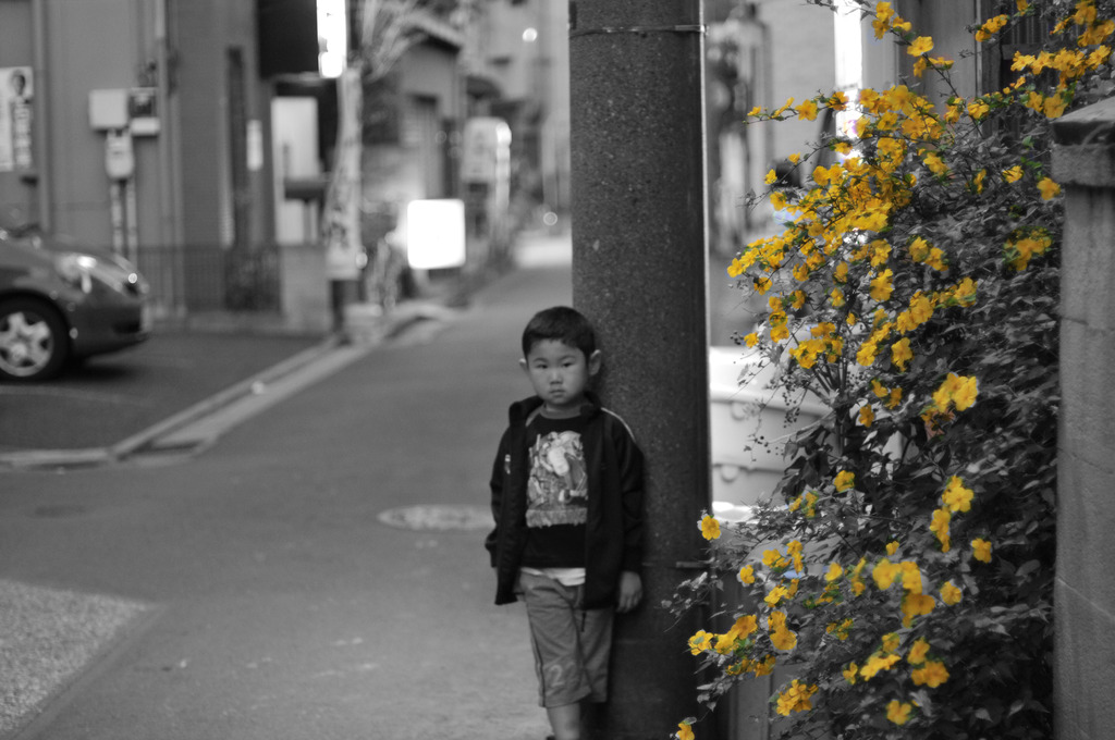 夕暮れの下町風景モノクロ加工