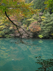 湖畔