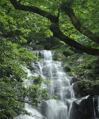 前原市・白糸の滝