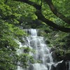 前原市・白糸の滝