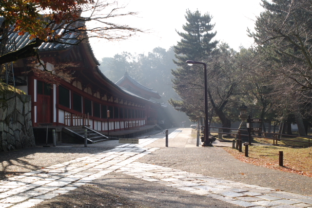 東大寺大仏殿の朝靄