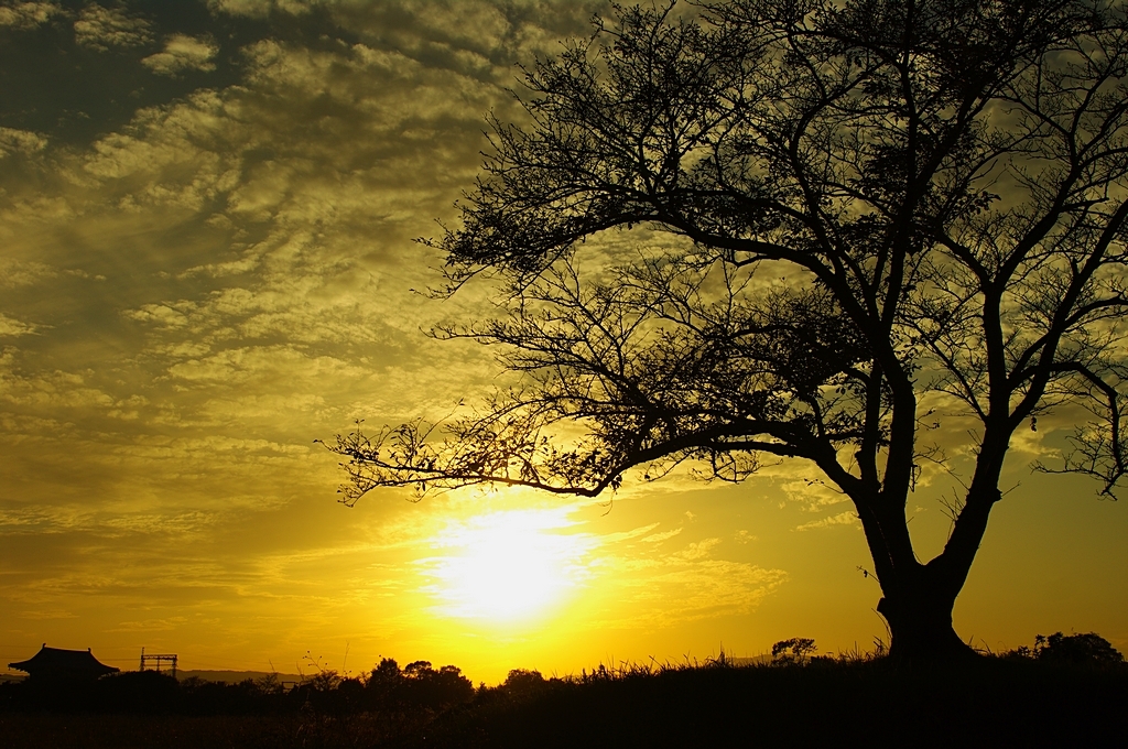 Before the sunset