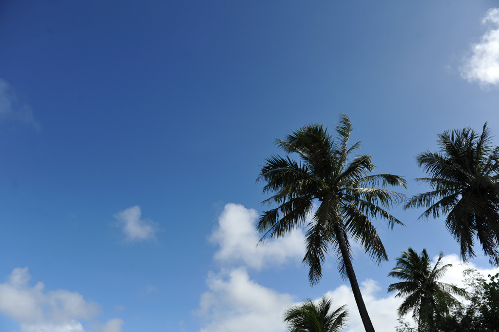 空　空　空