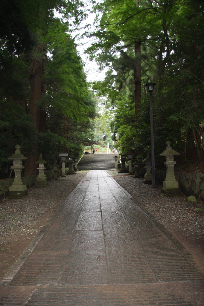 道