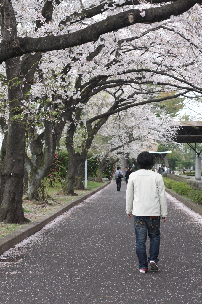 散歩道