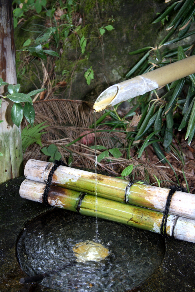 水