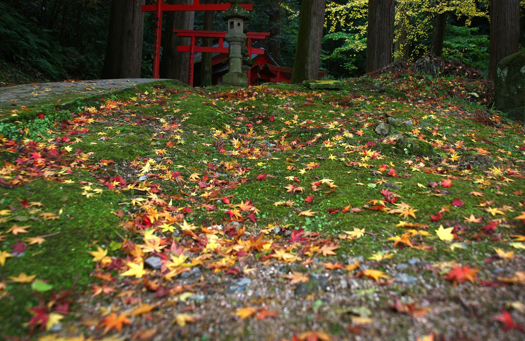 清水寺