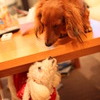 こんにちは！
