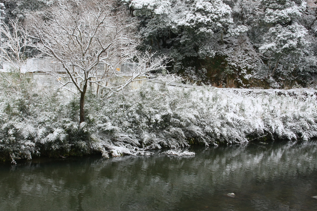 雪景色