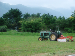 山村