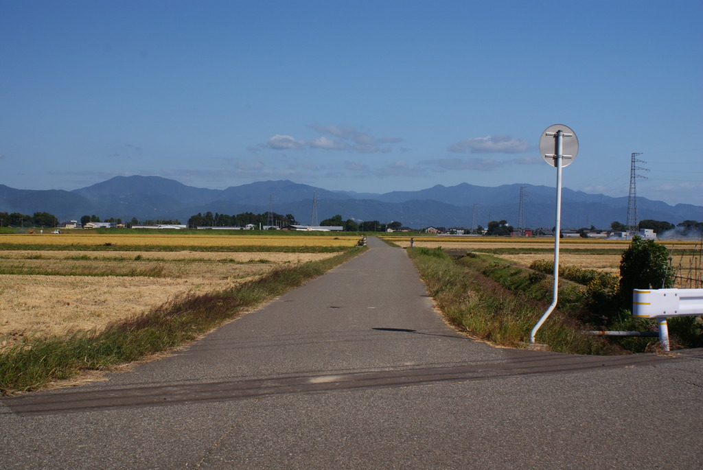 田舎道