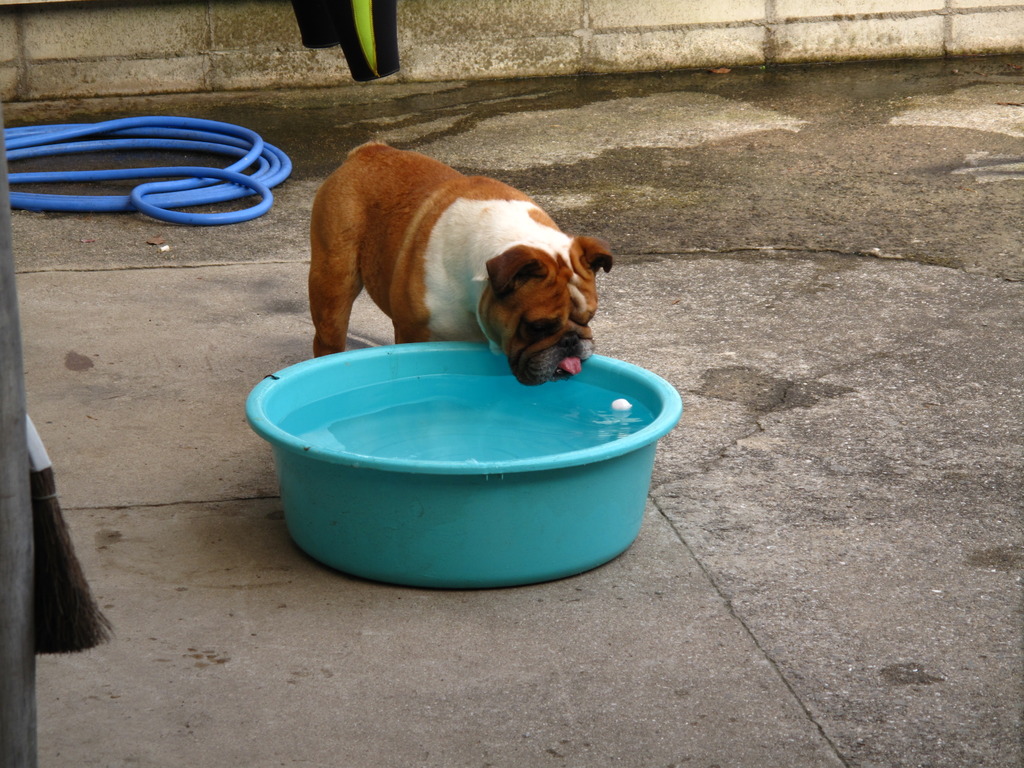 マシュマロ～！！