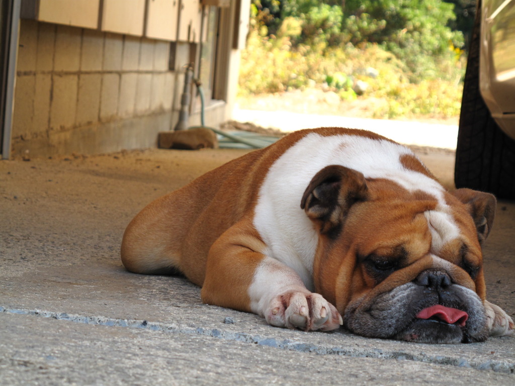 もうだめ、力出ない・・。