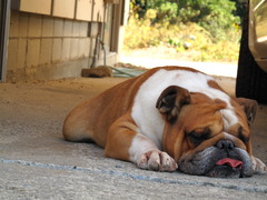 もうだめ、力出ない・・。