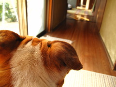 その先に・・・