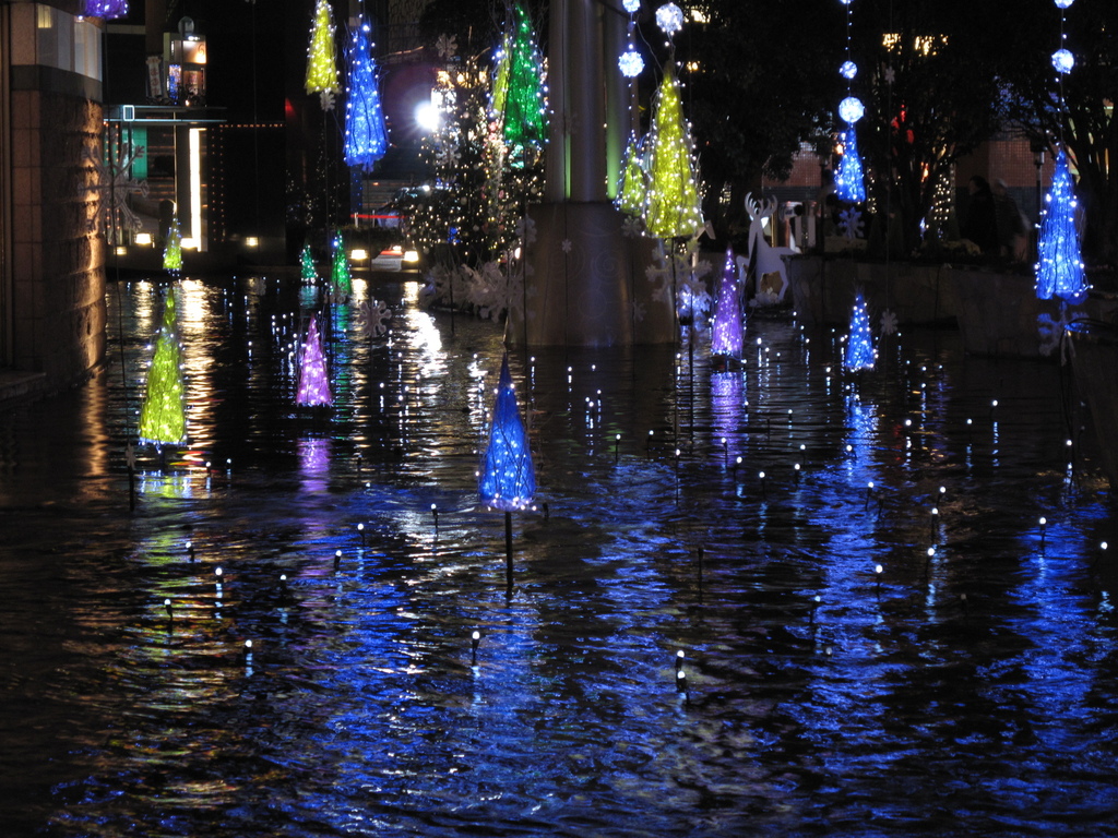 色づく水面