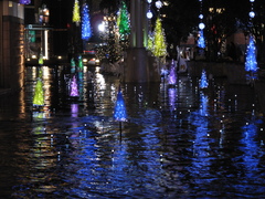 色づく水面