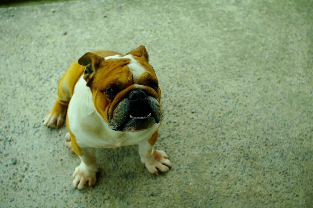 ご機嫌斜め(^_^;)