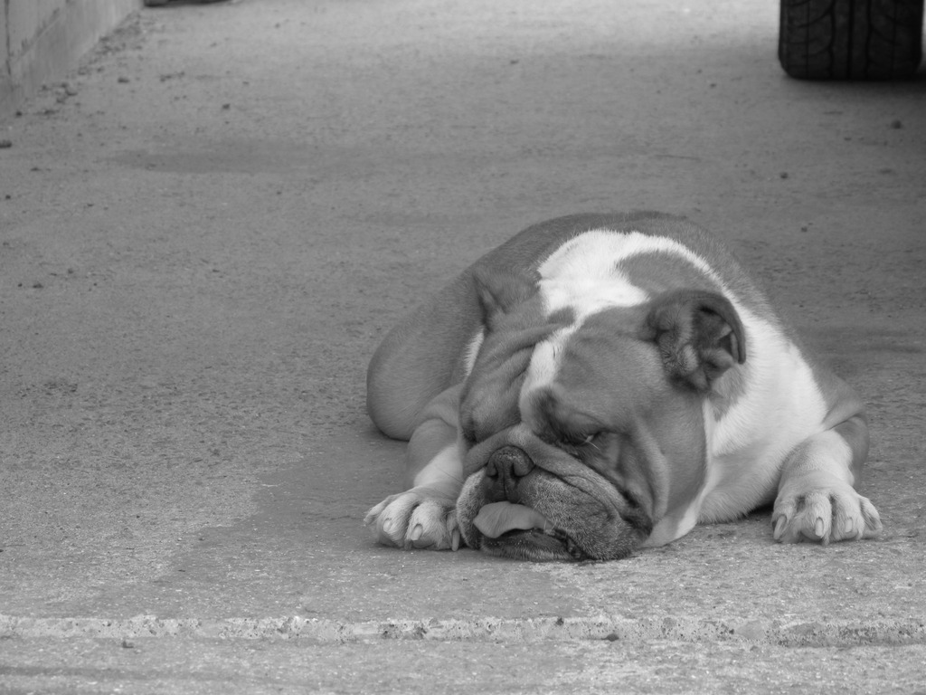 うぅぅ～・・・