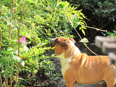 視線の先には？