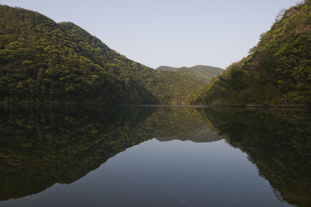 亜熱帯照葉樹林