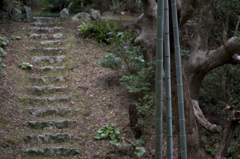 竹と階段